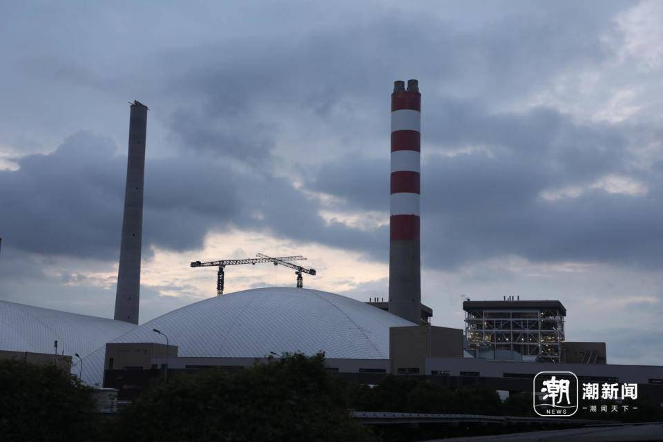 华东区域最大发电厂遭遇海蜇危机：循泵房面临被堵，员工24小时抓海蜇