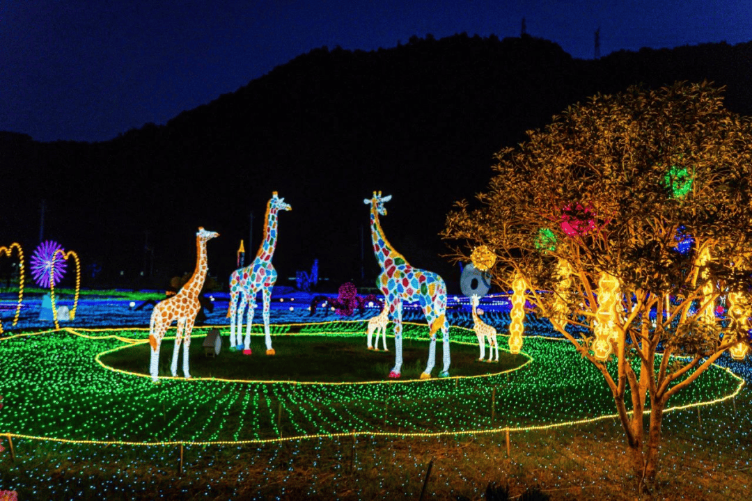 平阳网红打卡地夜景图片