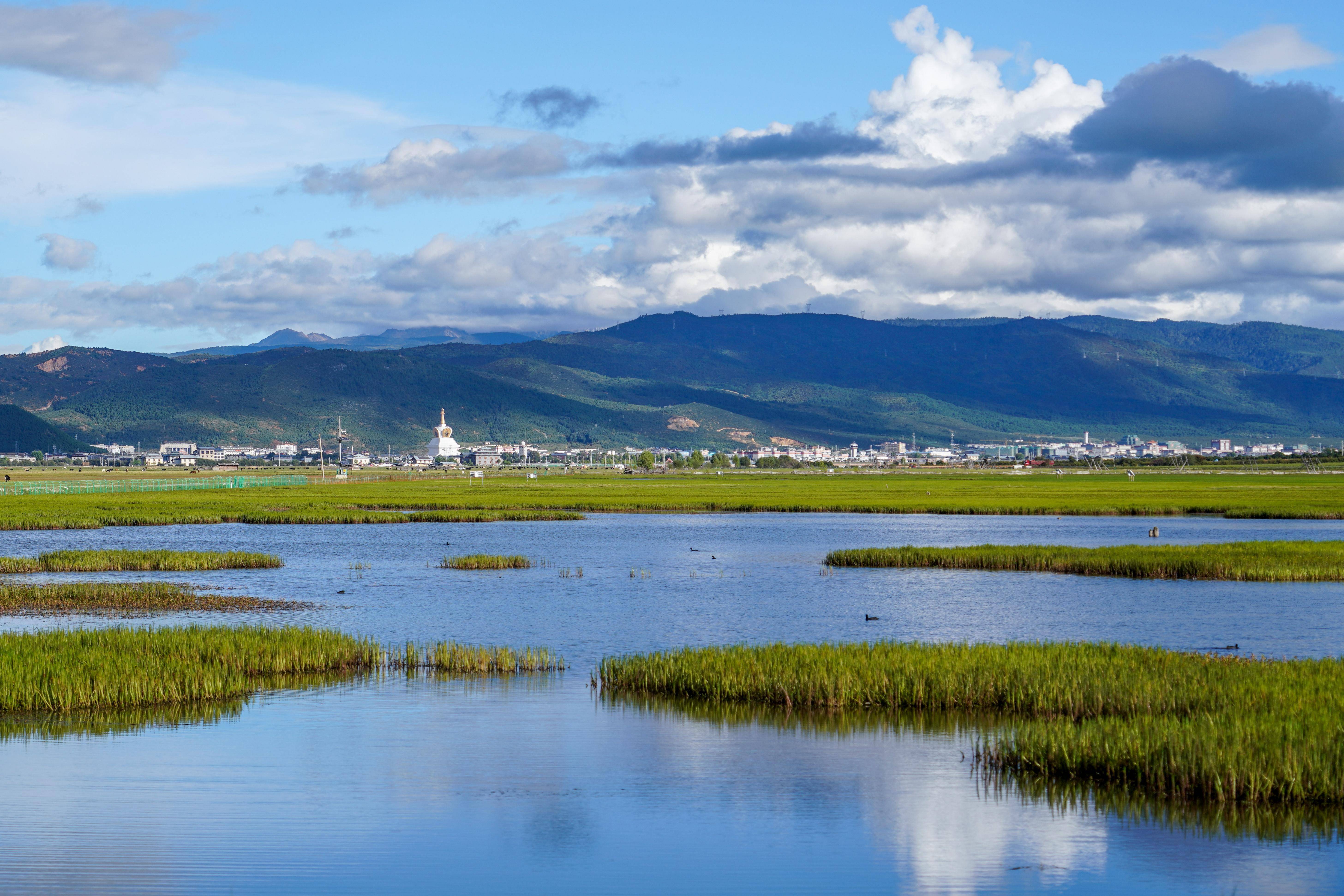 秋日纳帕海 美景入画来