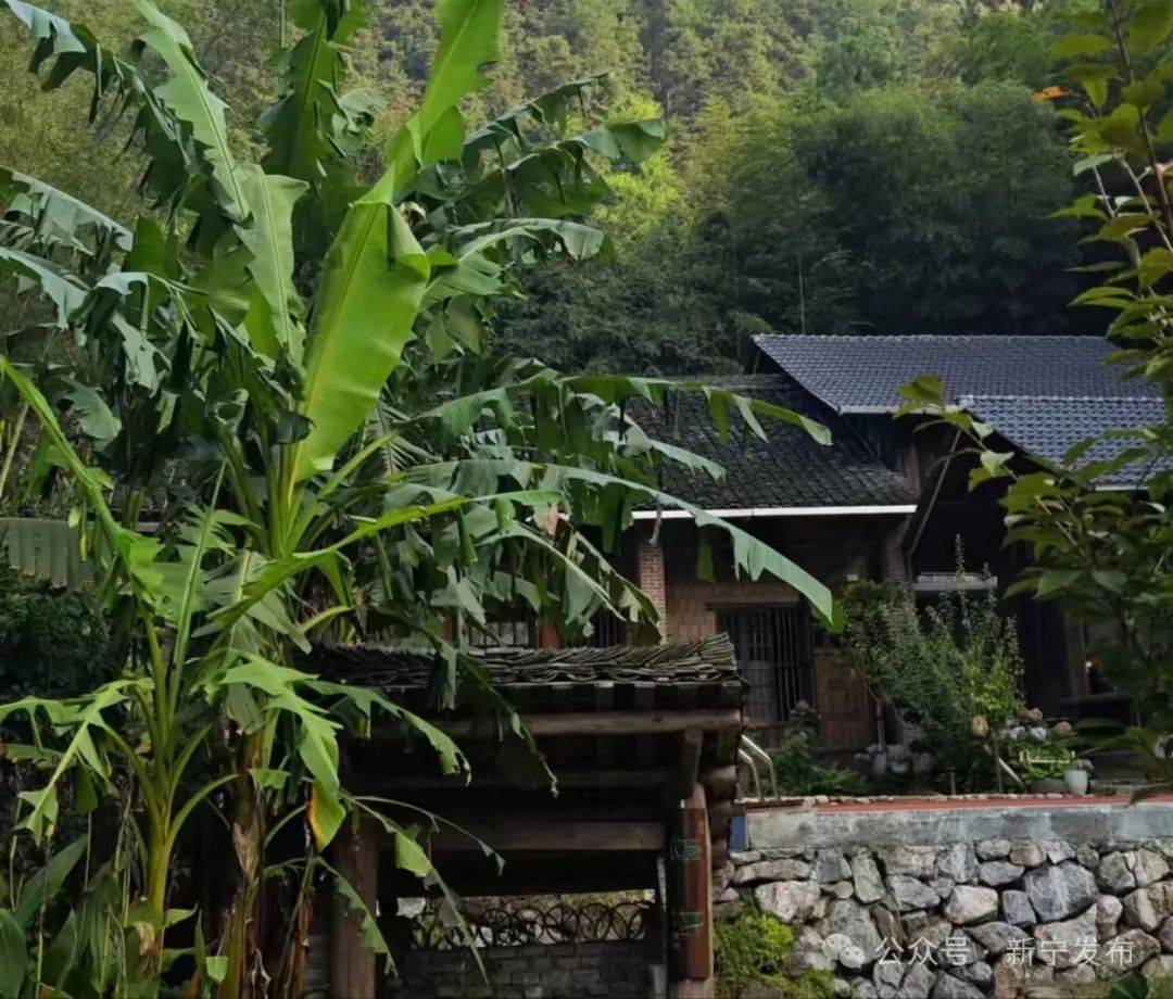 新宁:崀山热度"带火"特色民宿