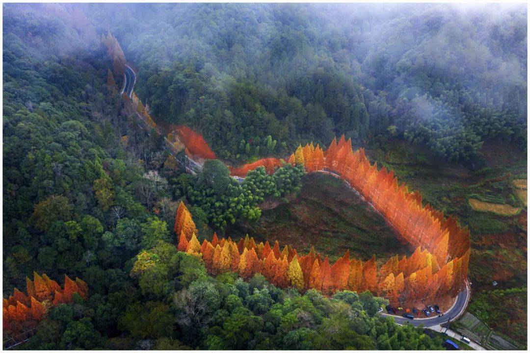 将乐龙栖山攻略秋景图片