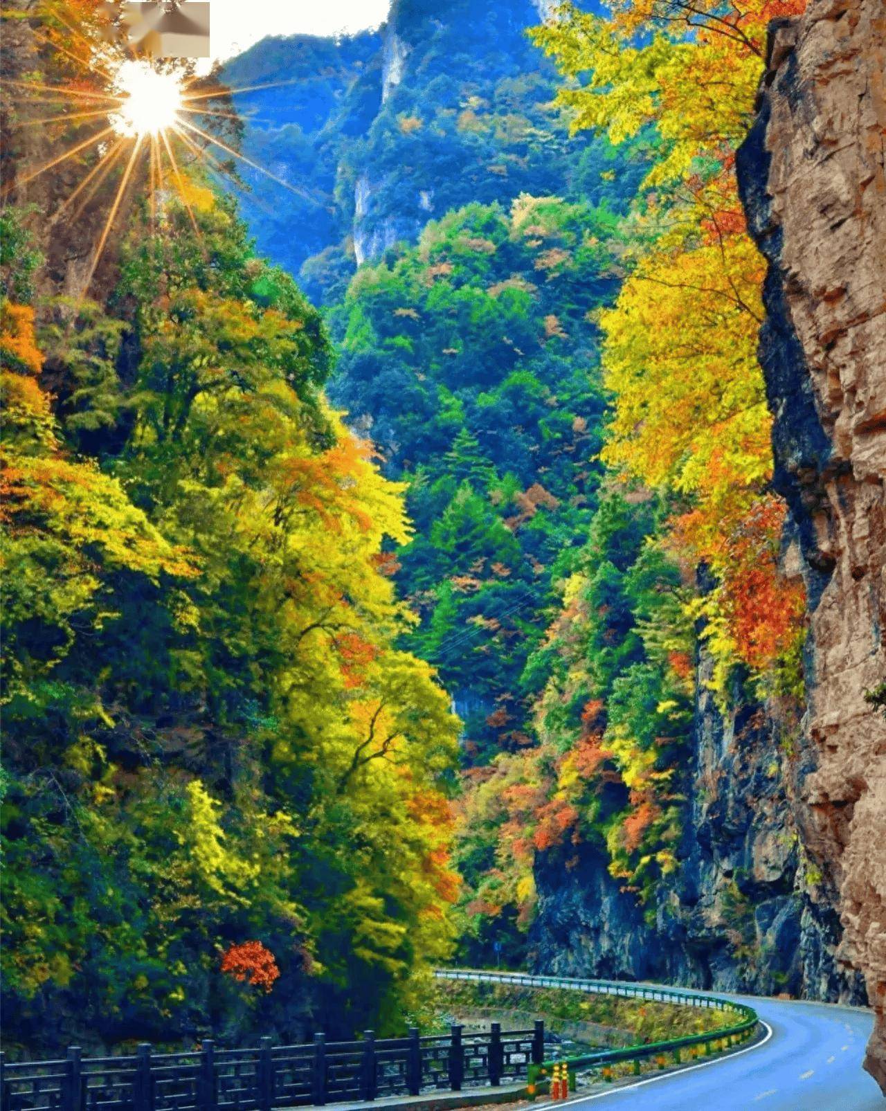 美哭了10月一定要来神农架看最美秋景