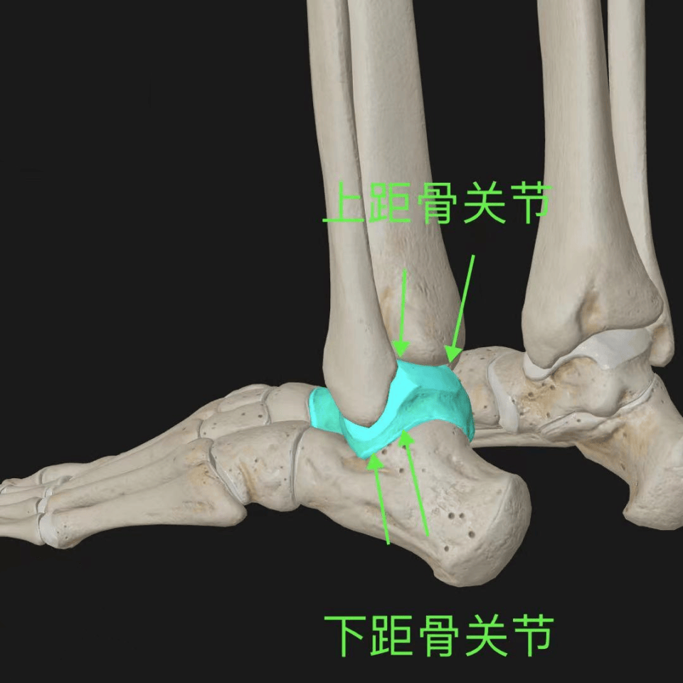 脚踝扭伤后