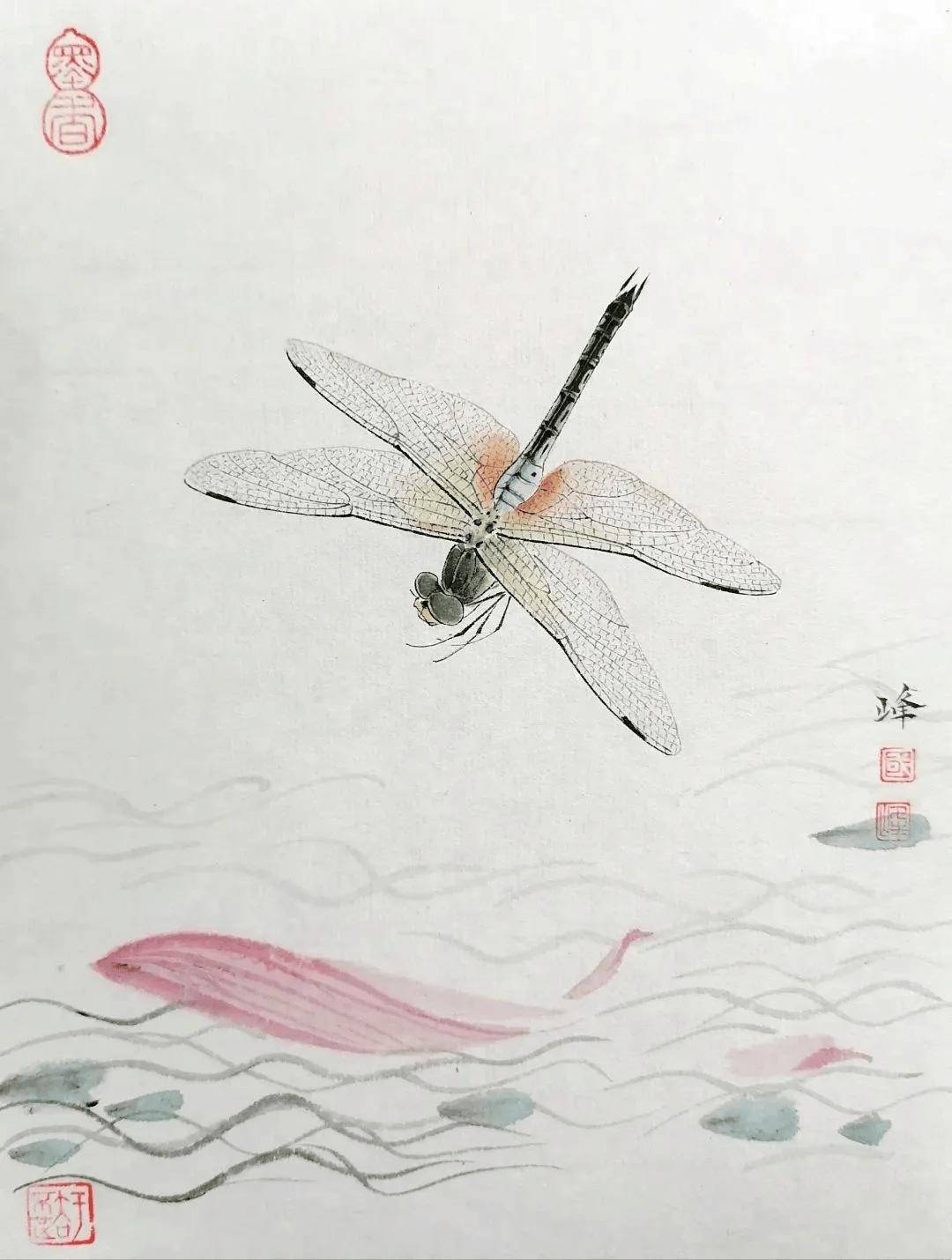 这不是摄影,这是国画:白国峰的工笔蜻蜓