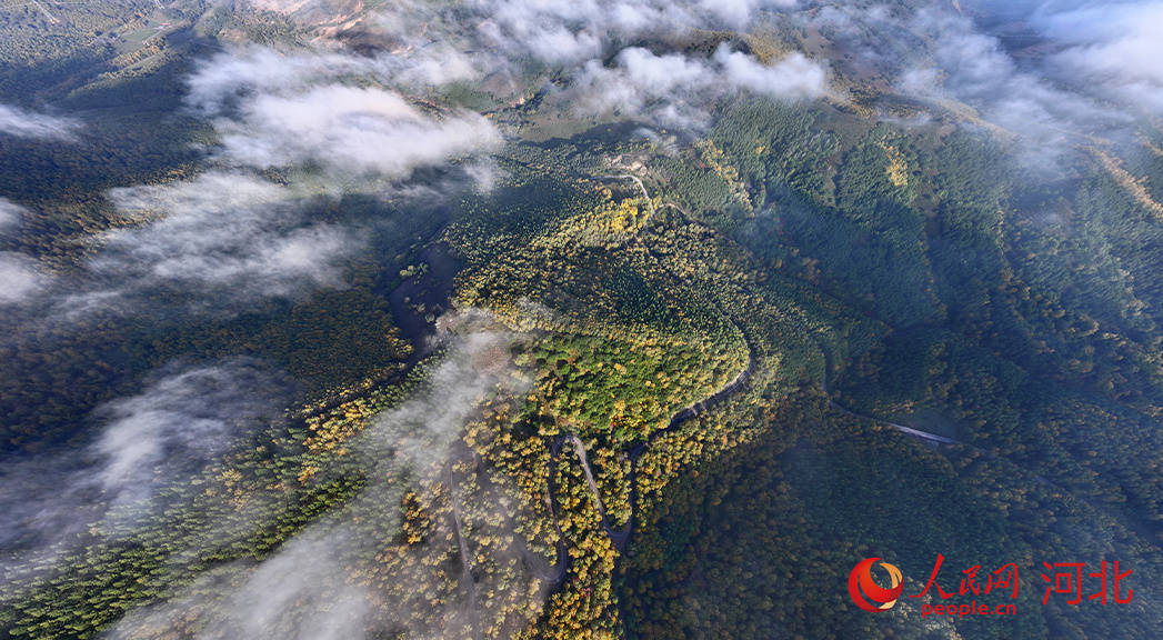 承德木兰围场五道沟秋景美如画