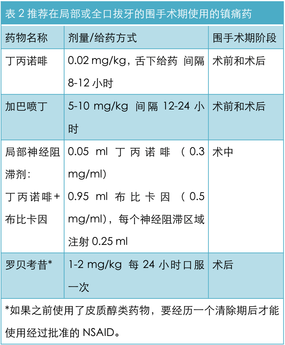 猫加巴喷丁用量图片