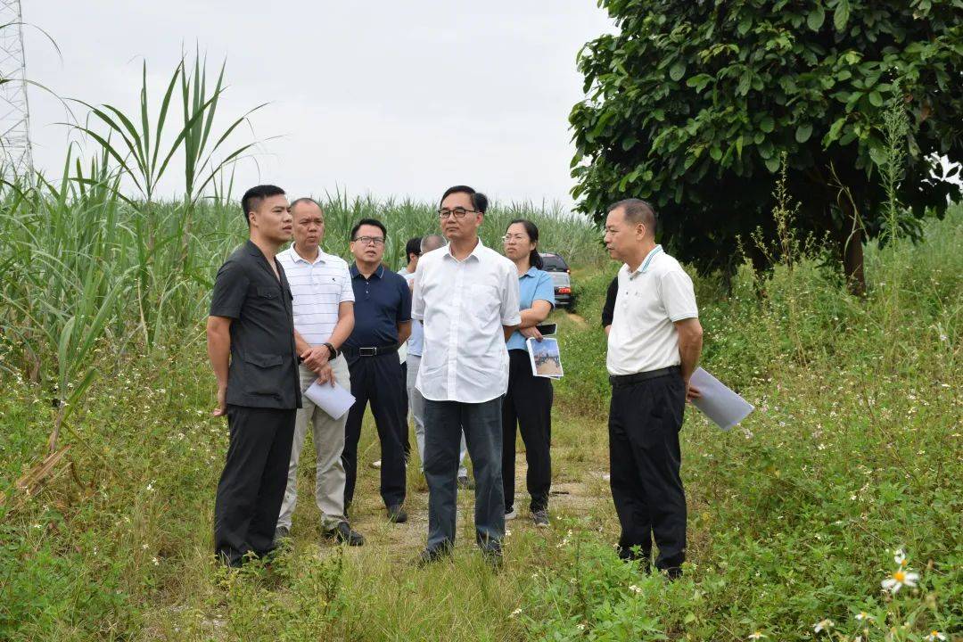 听取凭祥市法院,检察院有关工作情况汇报市人大常委会副秘书长黄永川