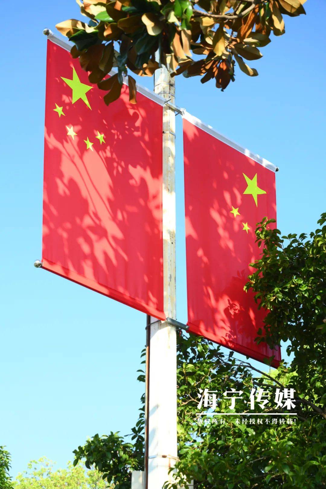 海宁,红了