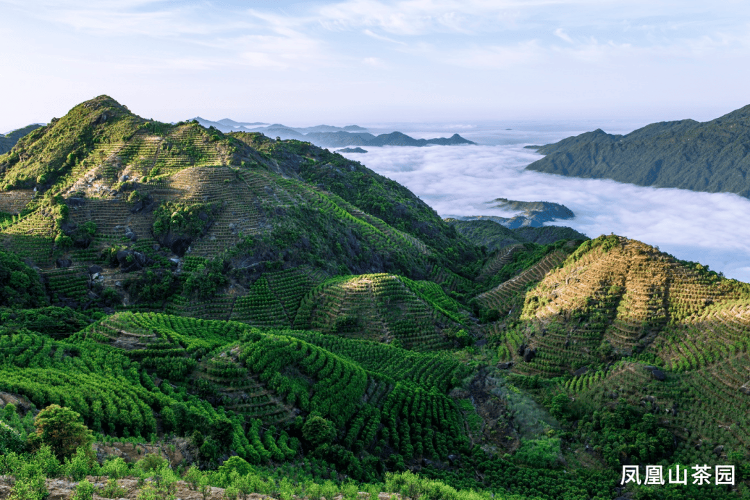 潮州凤凰山乌岽村图片