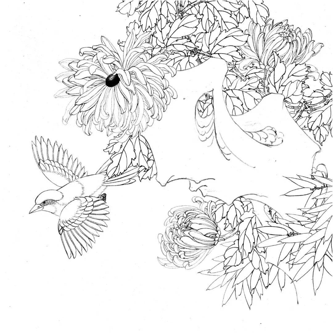 工笔花鸟白描图谱20张!_国画_合作_教程