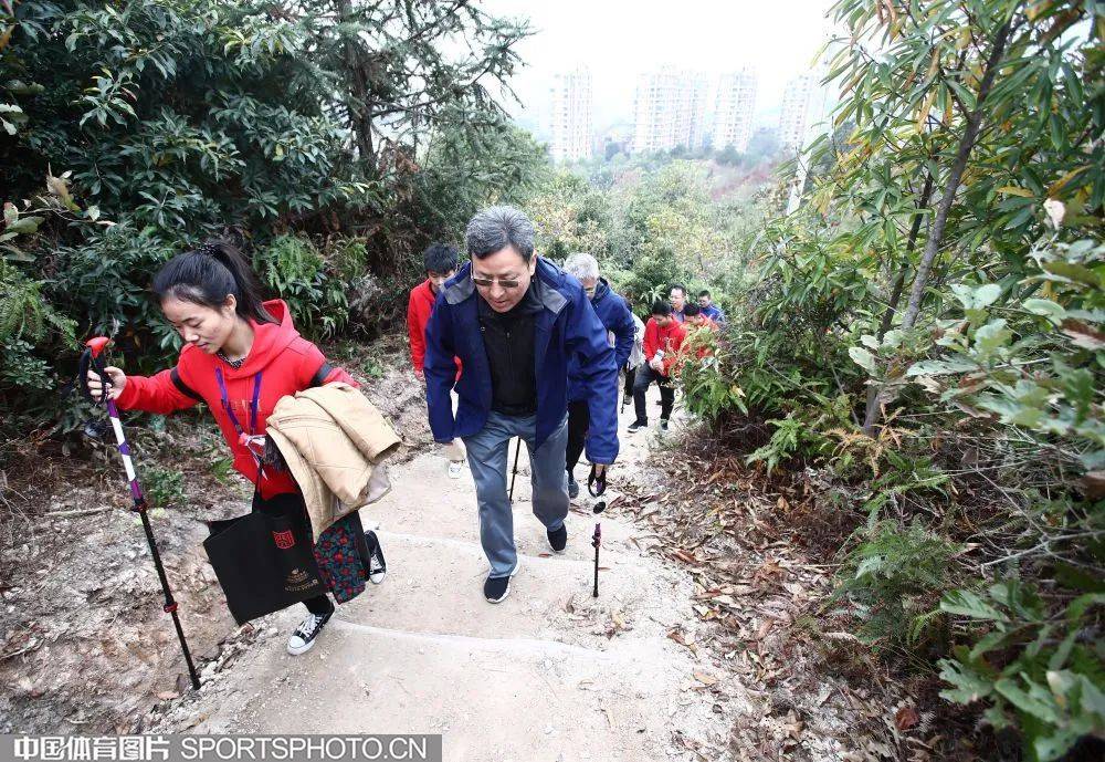 秋高气爽 户外出游正当时丨去登山应该吃点啥？(图2)