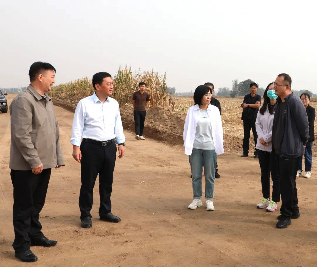 县委副书记,县长赵丹调研督导"三秋"生产,高标准农田项目建设和秸秆