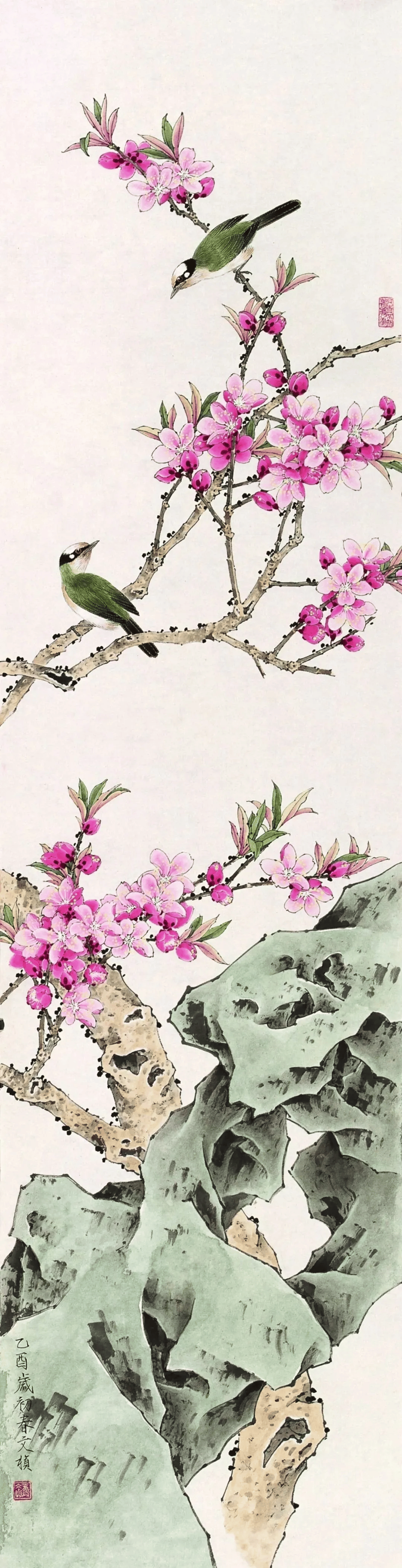 这些花鸟,愉悦心情!