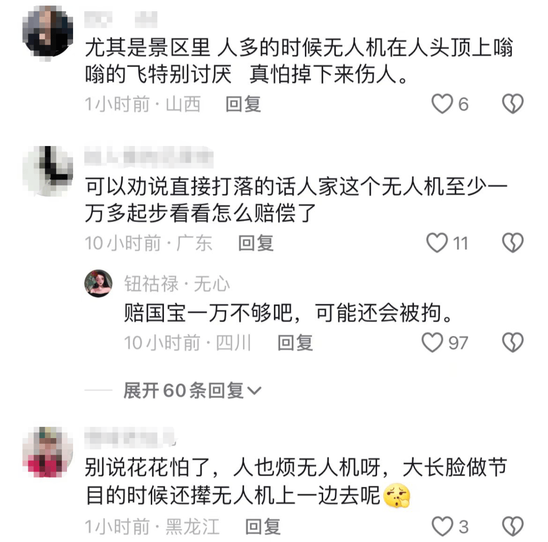 游客放无人机吓到大熊猫，工作人员将其一杆打落，成都大熊猫基地回应