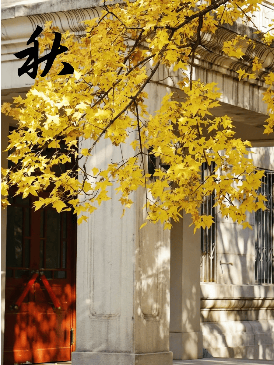 山東師范大學山東錄取分數_山東師范大學錄取分數線20_山東師范大學錄取分數線