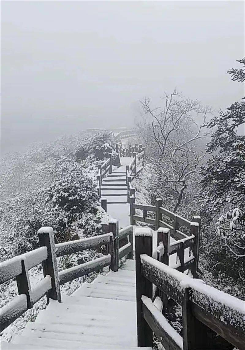 潮州凤凰天池下雪图片