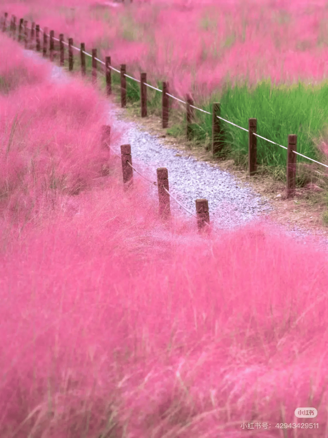 西安花海公园图片