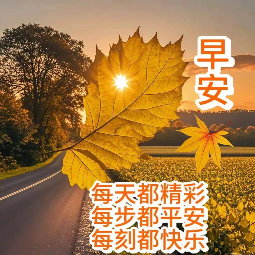 10月13早上好,精选早安祝福语创意表情包图片带字带问候语