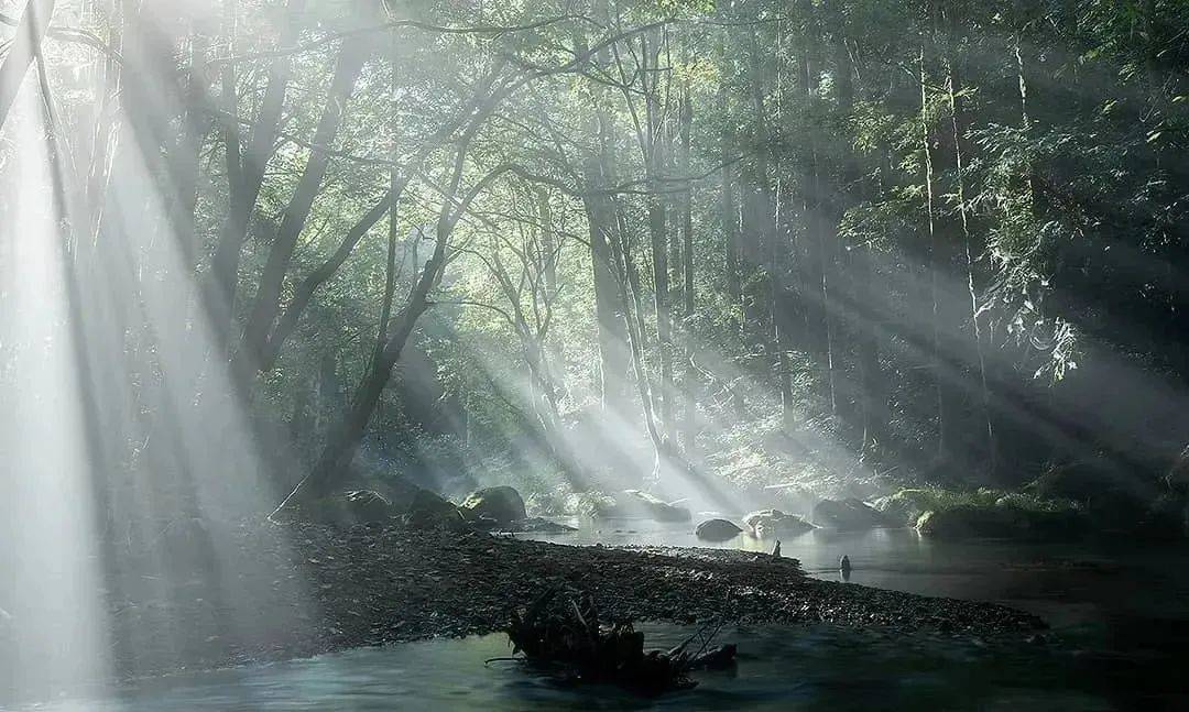 雾景全流程拍摄的技巧详解及作品欣赏!_雾气_效果_景物