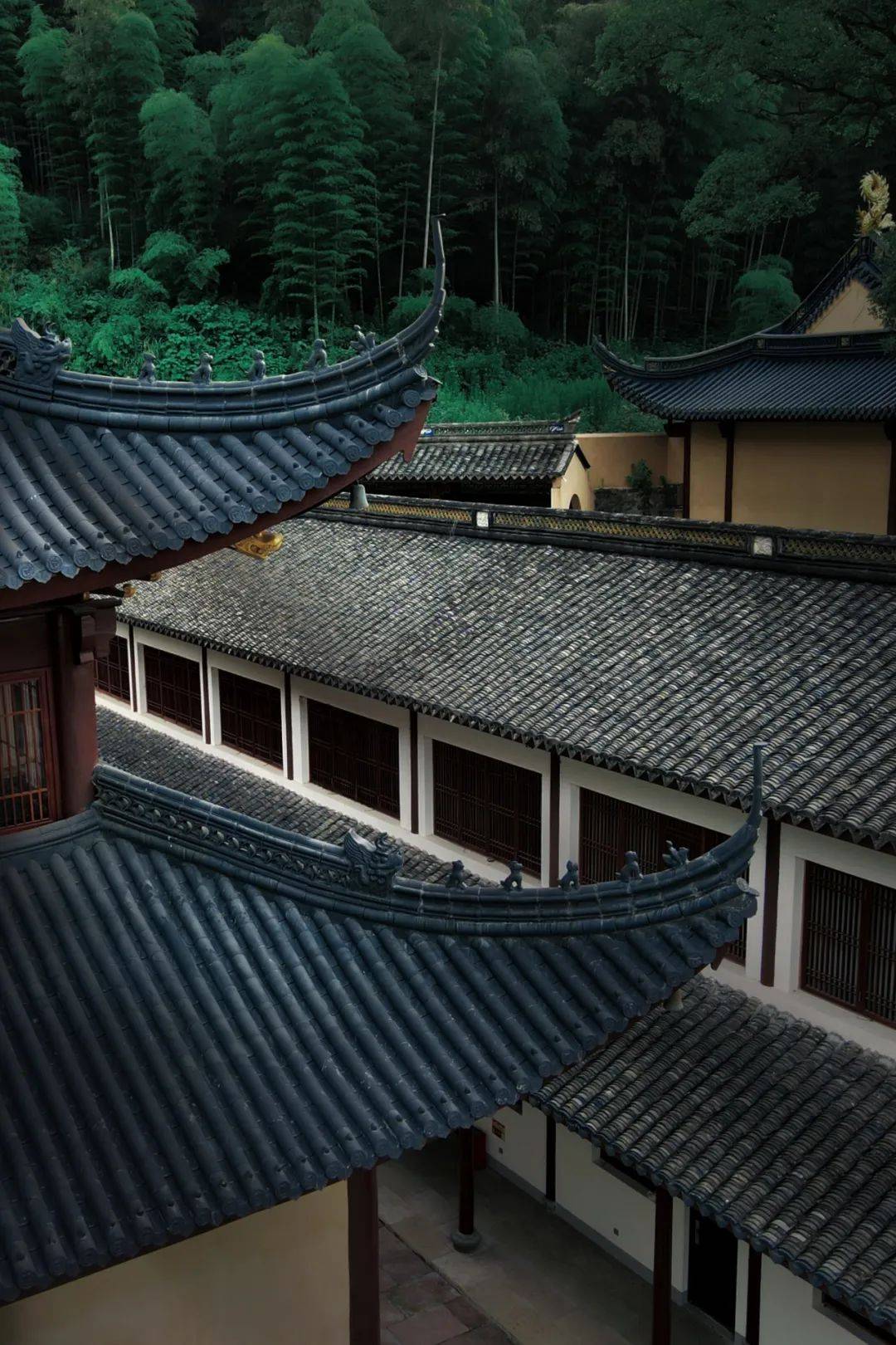 定生禅悦 | 象山等慈禅寺第十三期净心禅修报名开启!