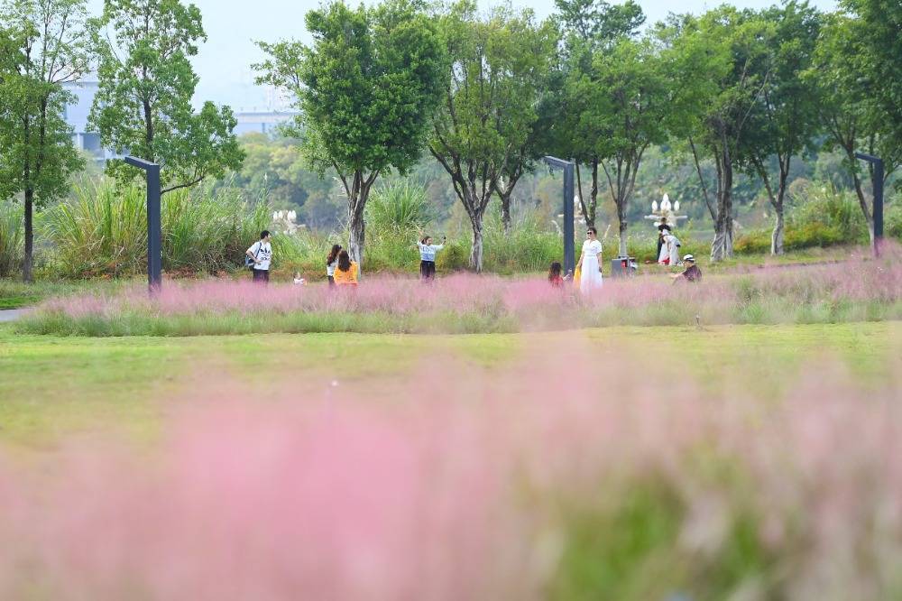 两江粉黛山公园图片