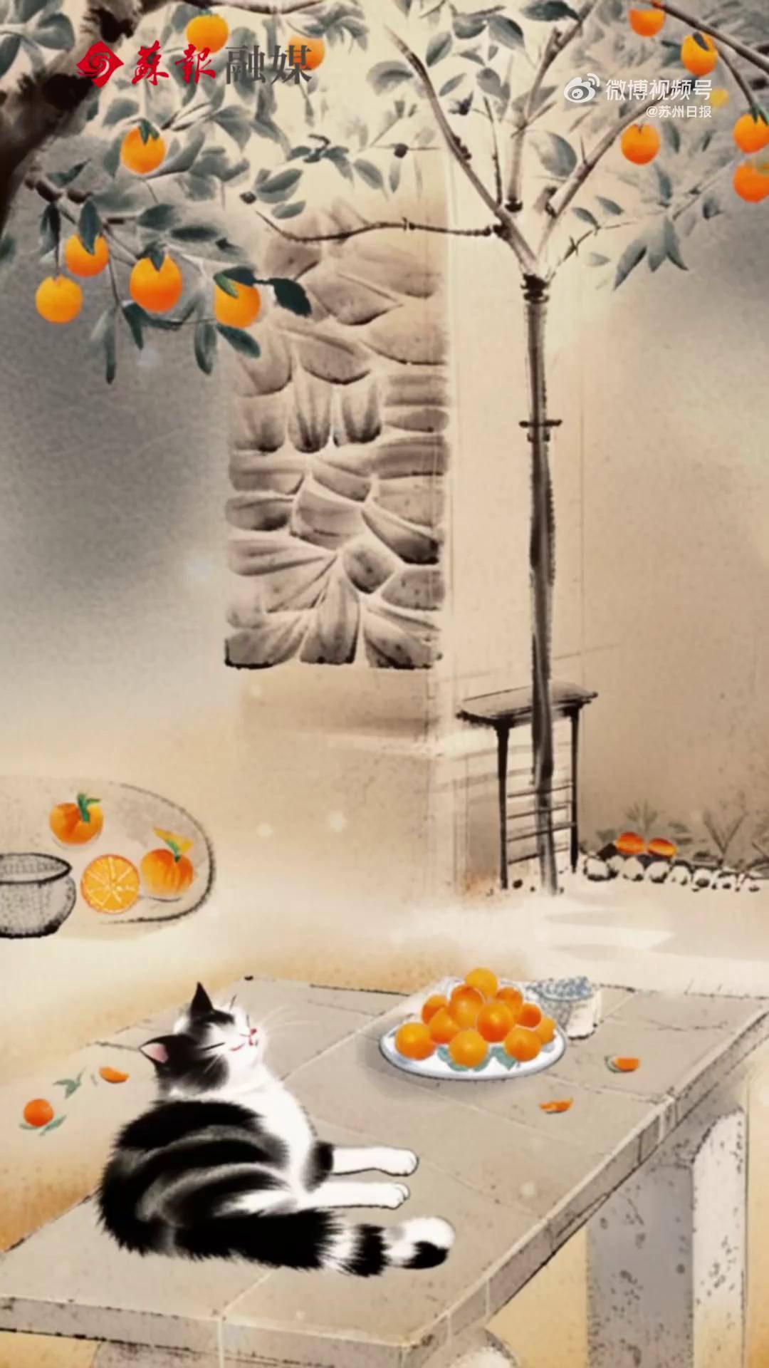 好配!猫咪与柿子同框如动态国画_天眼_新闻