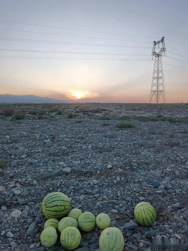 宁夏戈壁滩现状图片