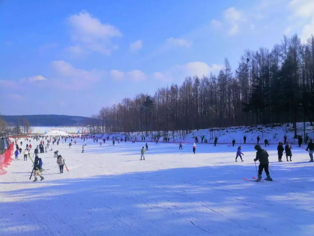 许昌秋湖湿地滑雪图片