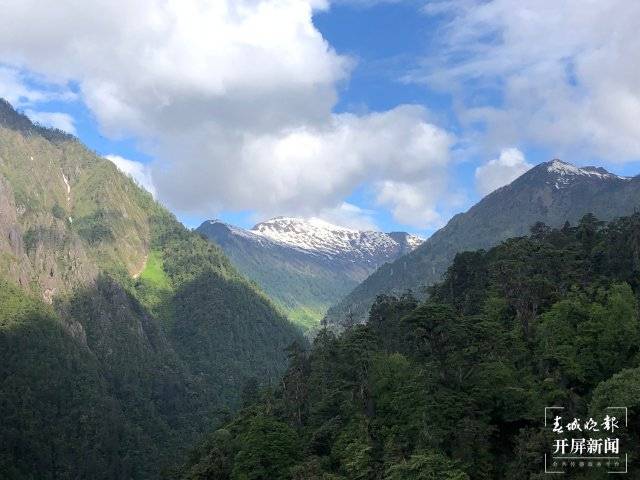 開屏策劃｜雲南秘境，不隻哀牢山