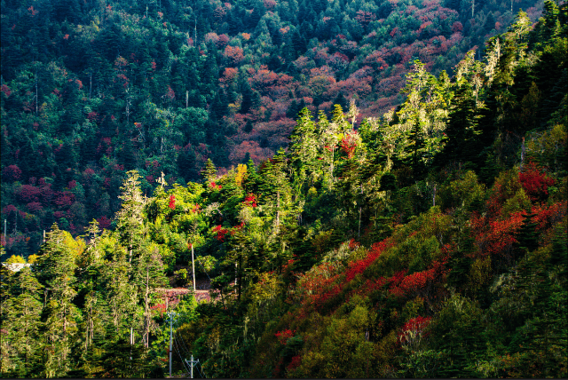 開屏策劃｜雲南秘境，不隻哀牢山