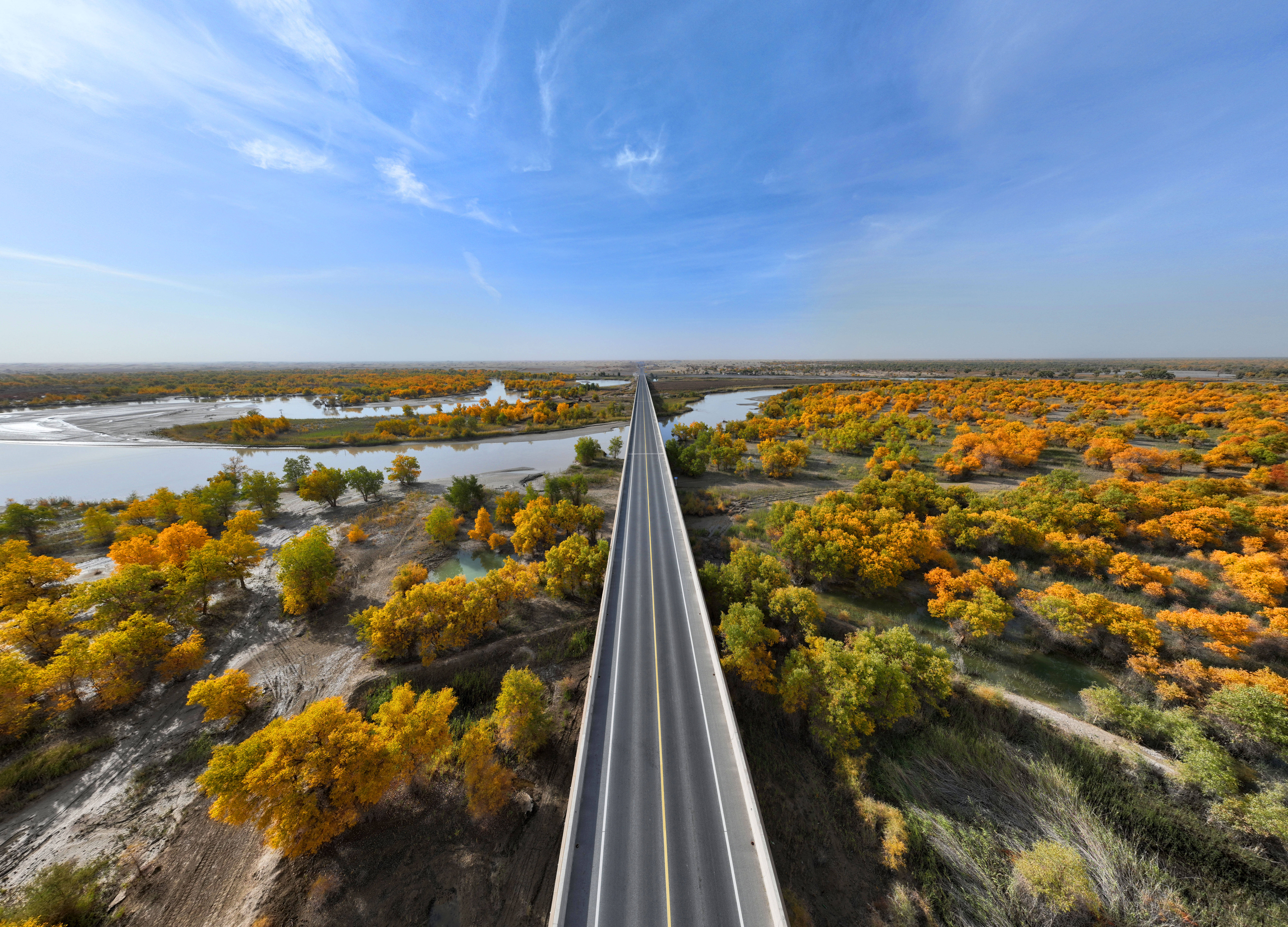 以上图片:2024年10月16日,在新疆塔里木盆地尉犁至且末沙漠公路塔里木