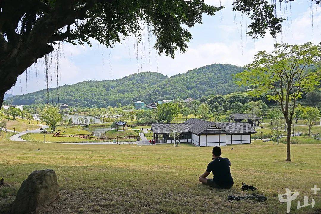 bob半岛体育草坪处处可野餐！中山市属公园设置帐篷区接近17万平方米(图5)