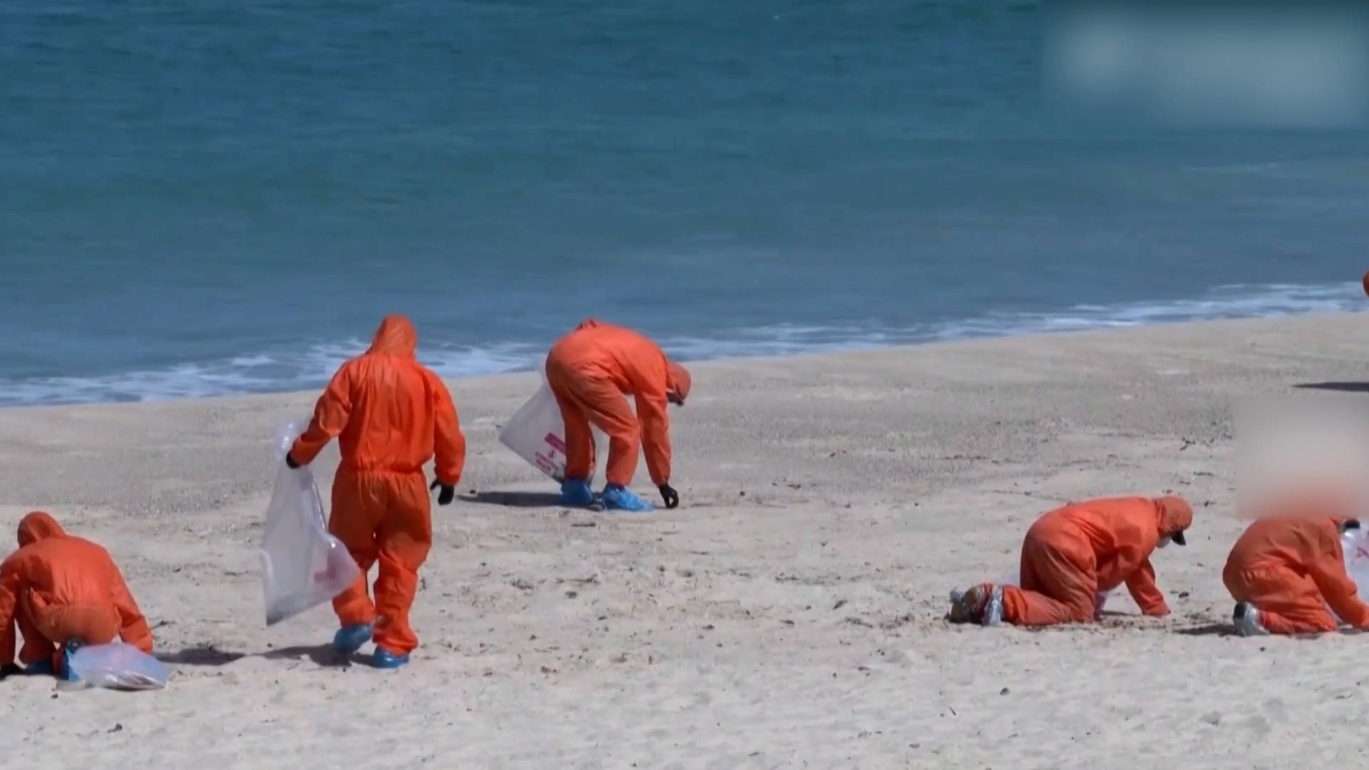 澳大利亚海边出现黑球,迫使多个海滩关闭,目前仍不清楚来源