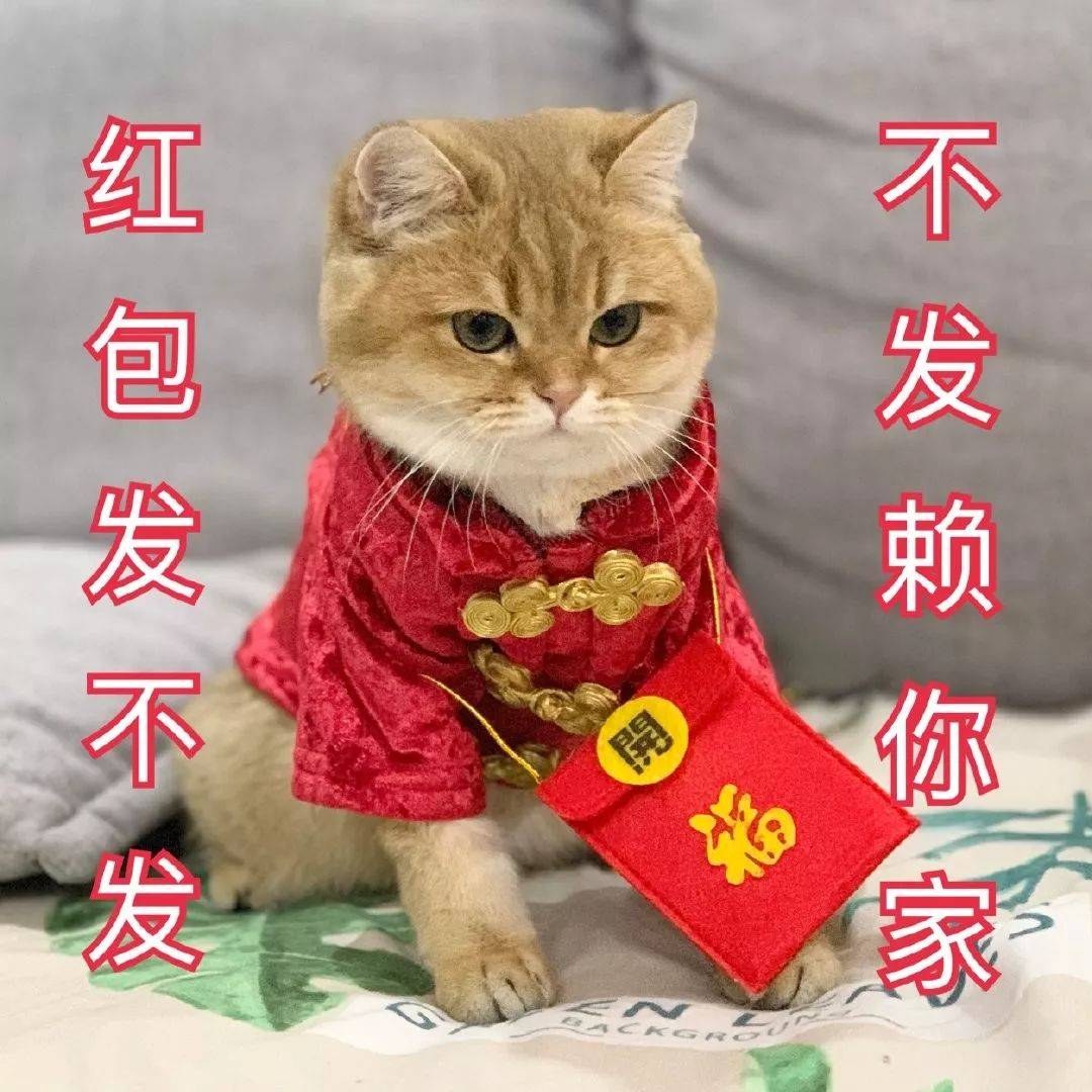 秒赞的表情包:我就爱看这个