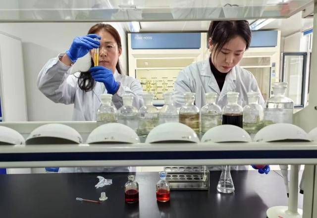 “养生文化+现代科技” 引领人参产业高质量发展 “养生文化+现代科技” 引领人参产业高质量发展