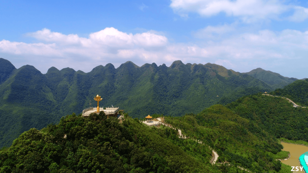 秋日"森"呼吸:来十万大山开启一场"森林温泉康养"之旅_鸟类_防城港