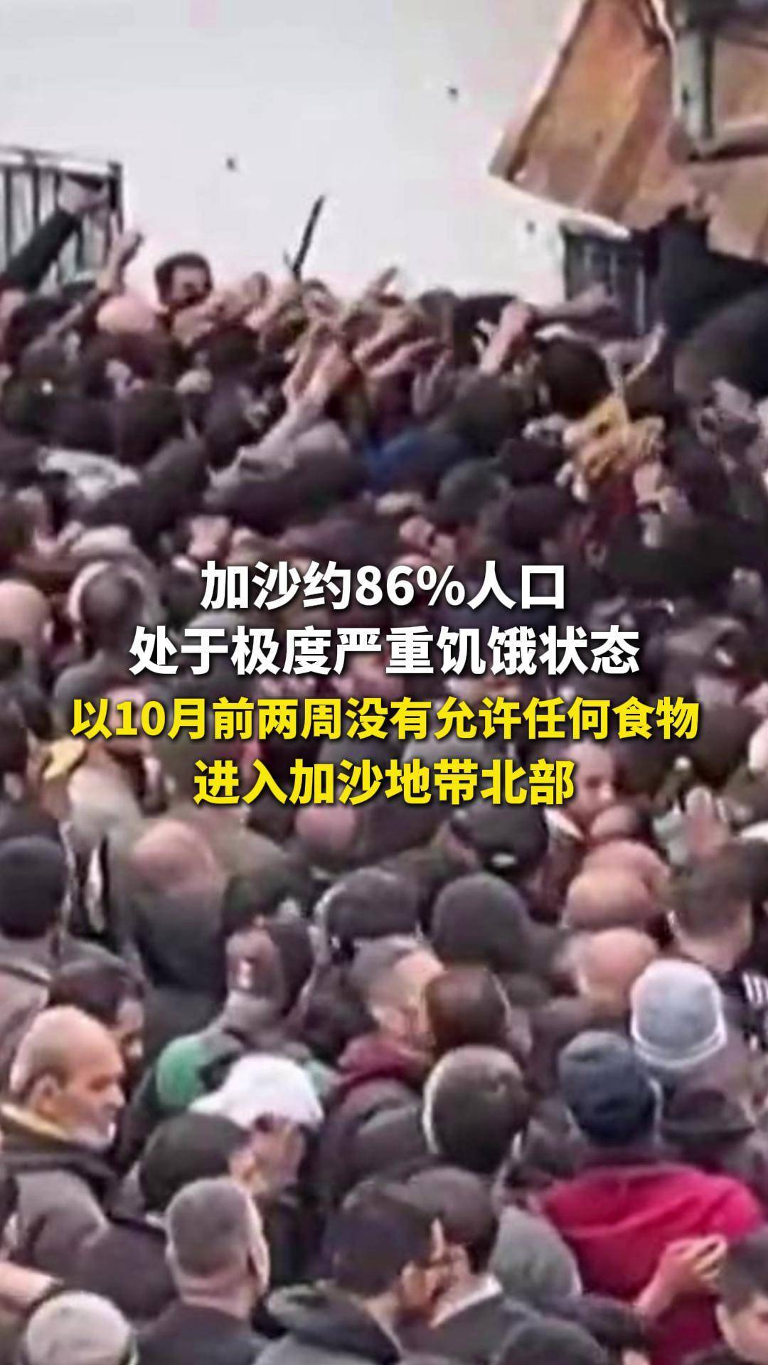加沙约86%人口 处于极度严重饥饿状态 以10月前两周没有允许任何食物