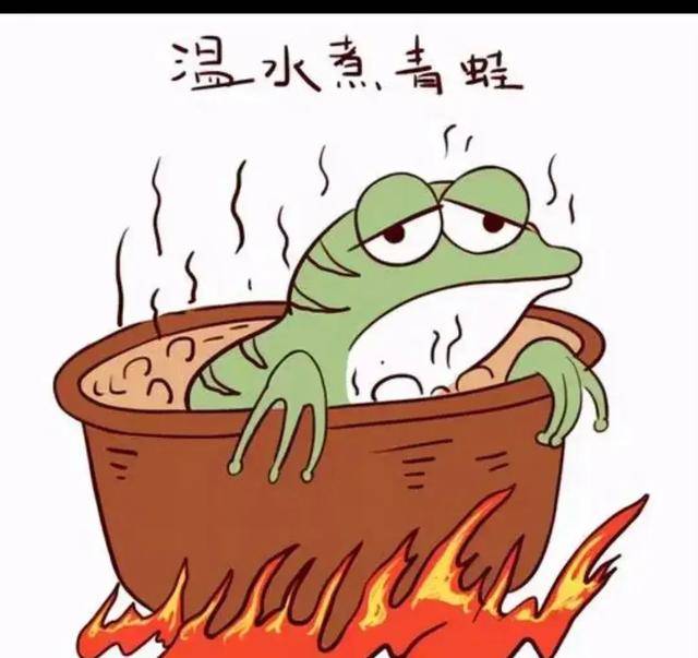 只有新韭菜才会认为是牛市,老韭菜早已看透其中玄机!