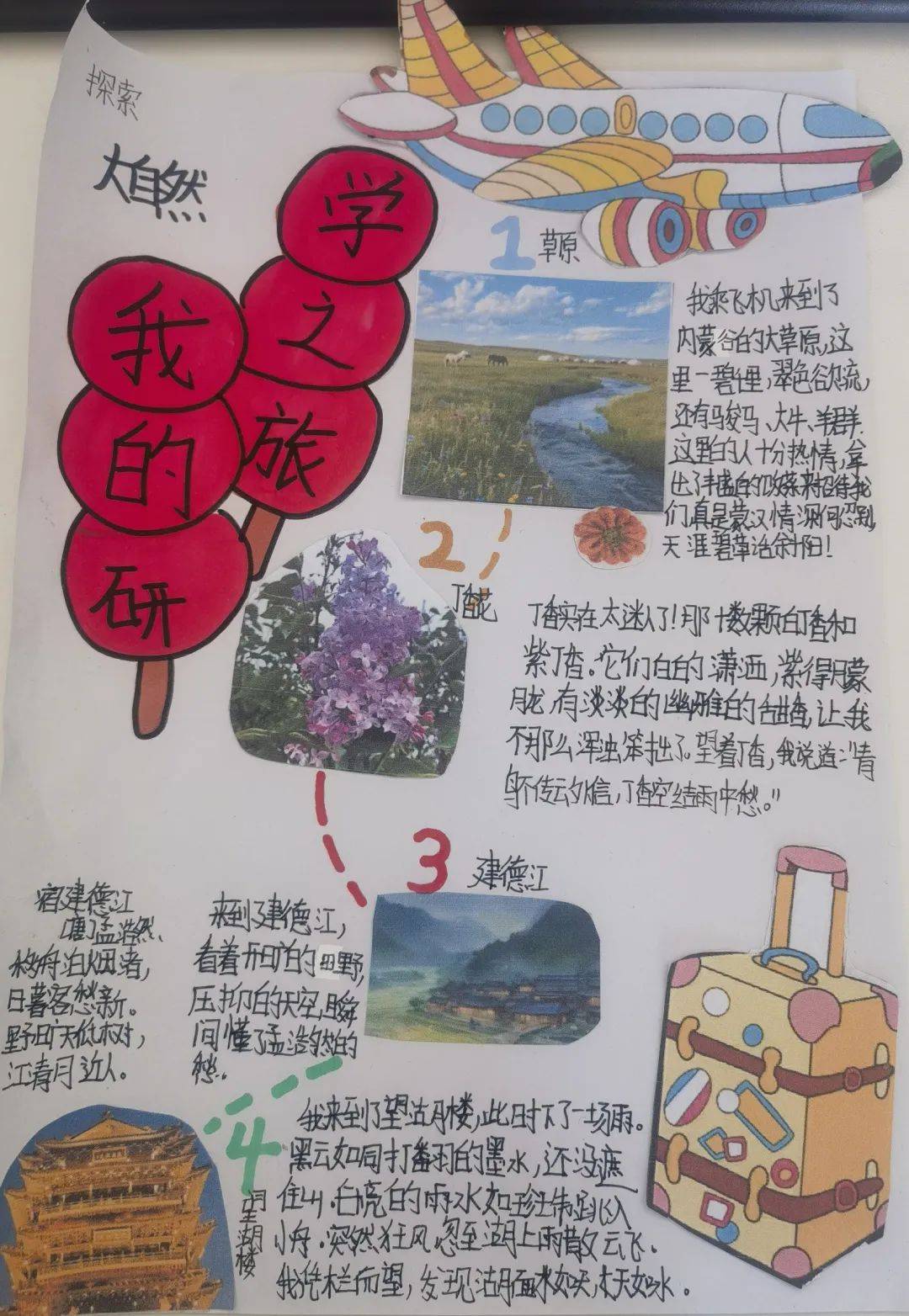 研学旅行内容50字山东