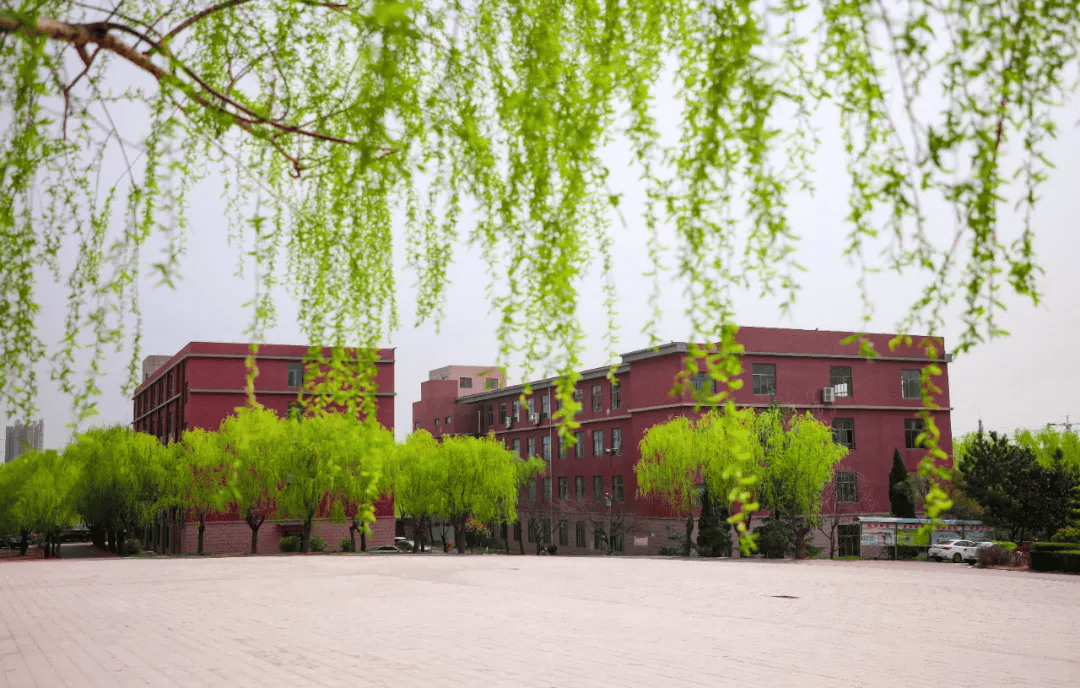 明天中学2024年新学年招聘启事_教学_胶南市_青岛