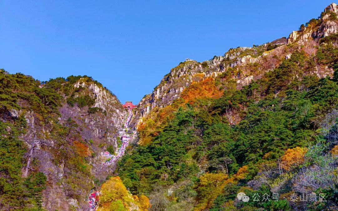 泰山普照宽版图片