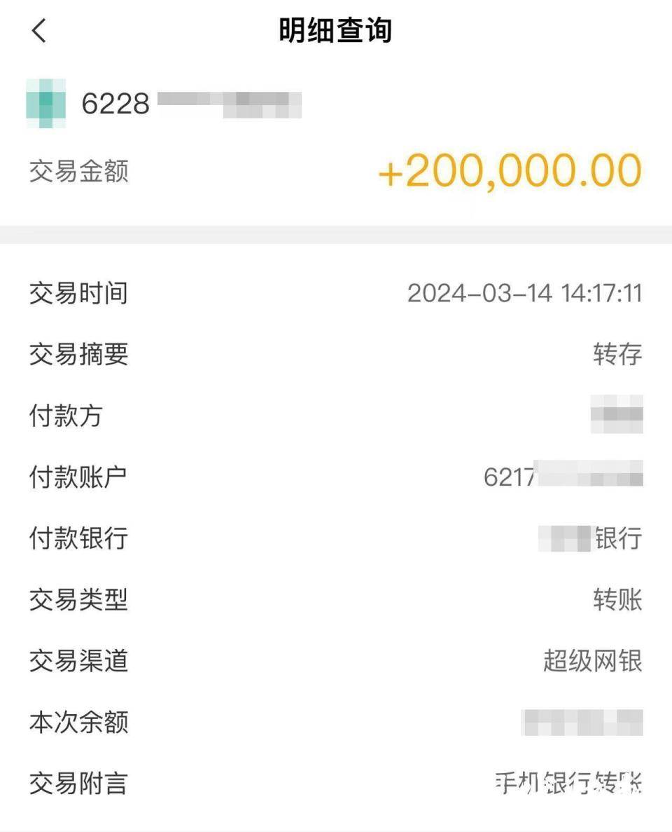 20万的转账记录图片图片