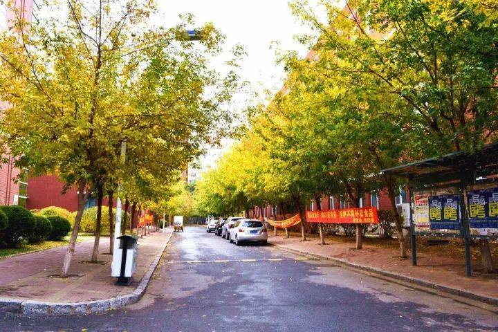 校友网站建设方案_校友会网站_校友网站建设