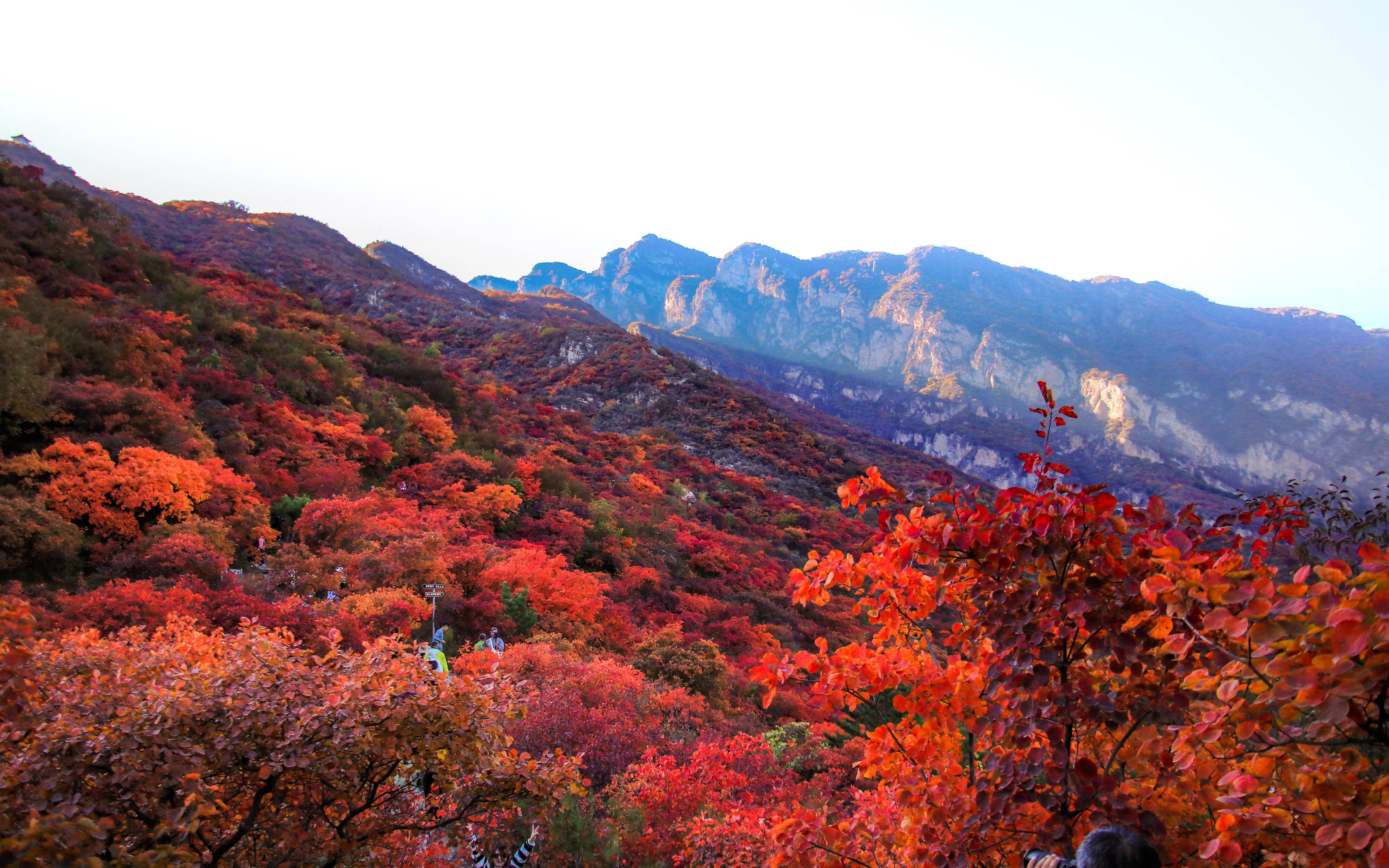 房山坡峰岭景区图片