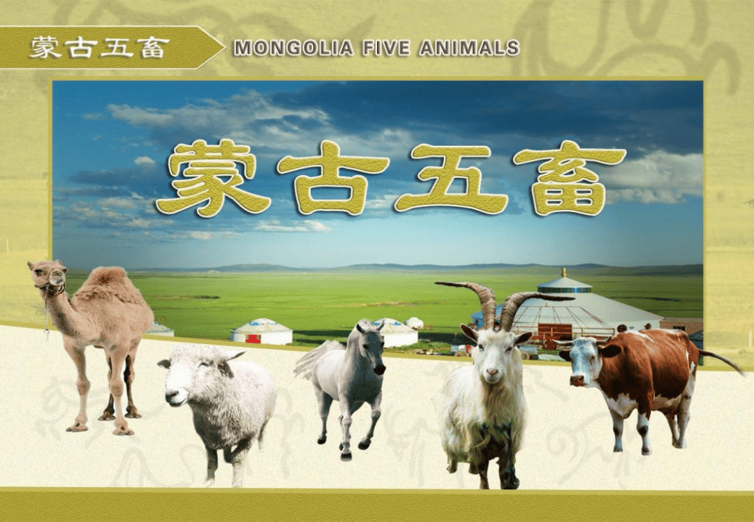镜图微展览丨看展览·自然地理专题|蒙古五畜_草原_韦志夫_栾为