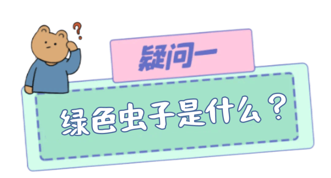 冬小麦田惊现条赤须盲蝽,会形成为害吗?听专家来解惑