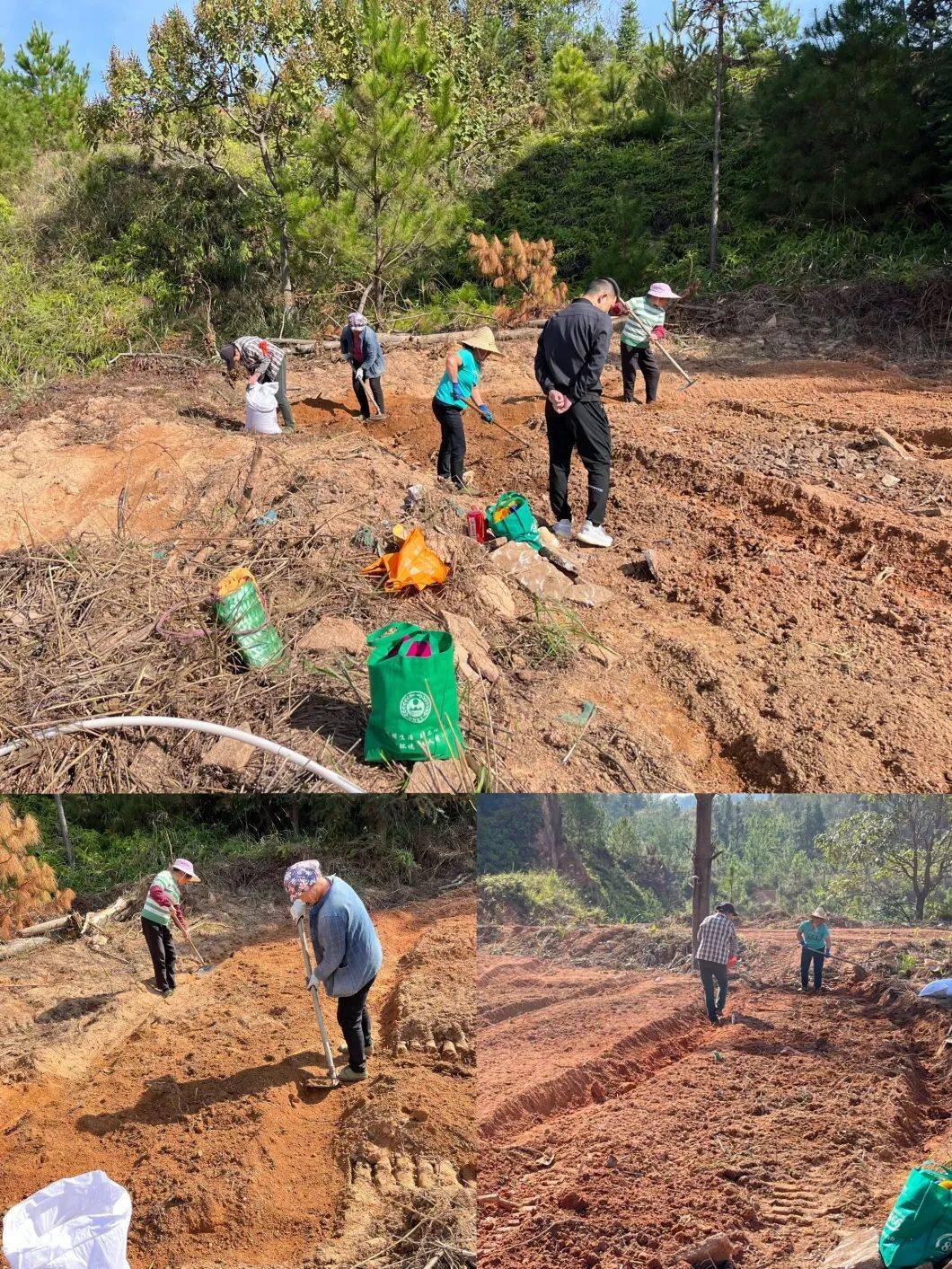 定南县自然资源局一周工作回顾第一百零八期