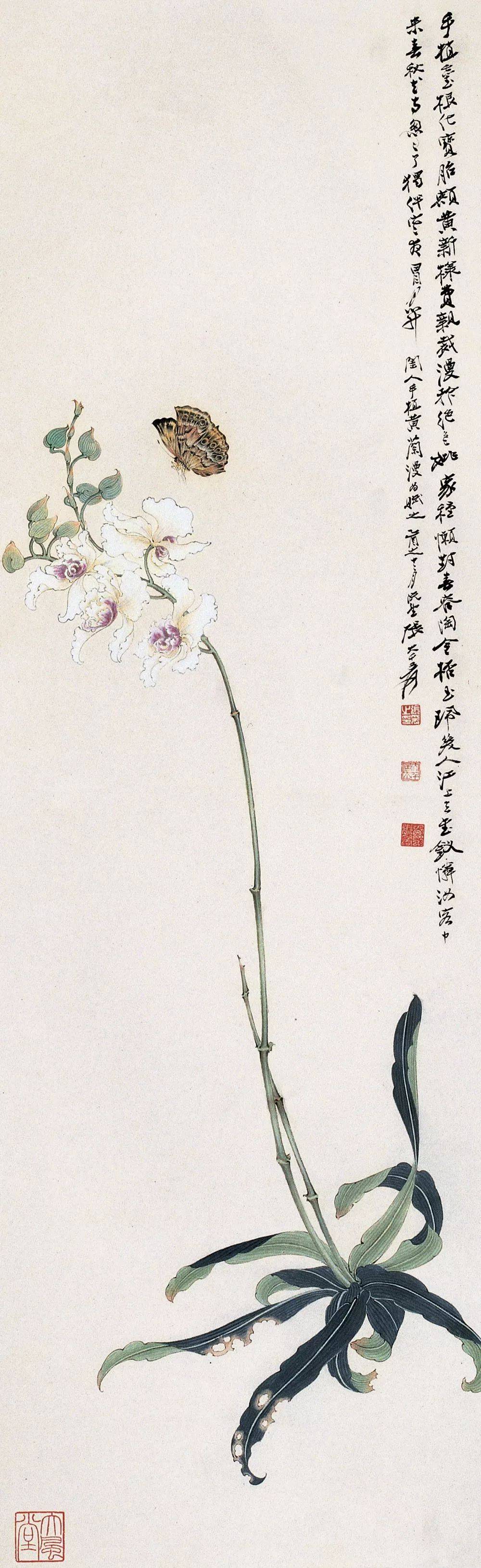 张大千花鸟画100幅