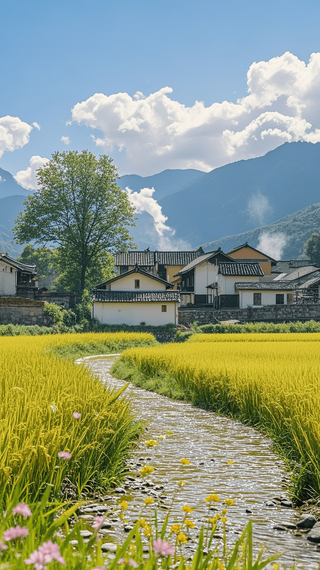 田园静美,时光悠然