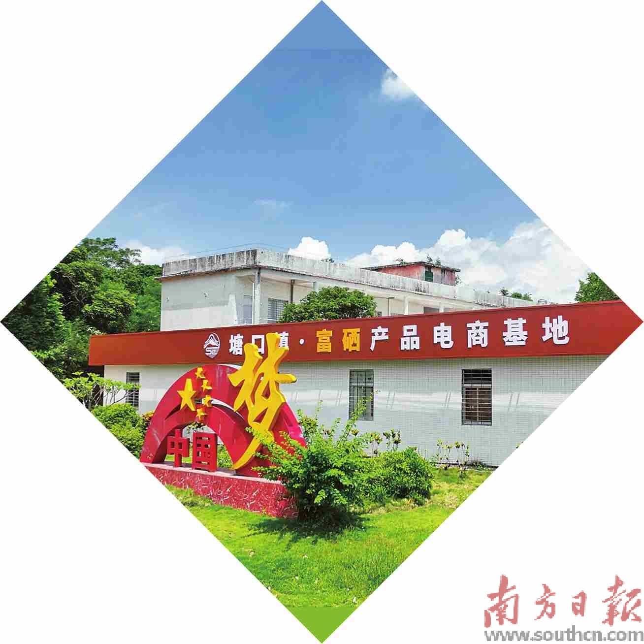 致富好项目农村(致富项目农村养殖)